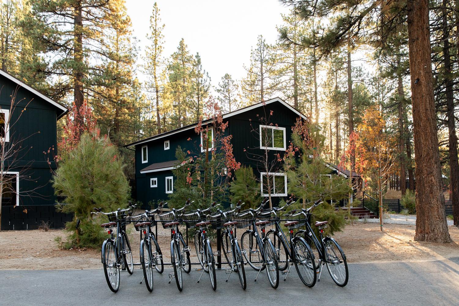 Np Boutique Lodge Big Bear Lake Exteriör bild